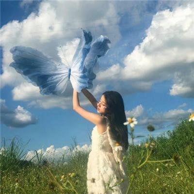 蝙蝠侠:侠影之谜